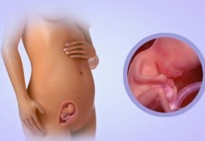 15 ������� ��������: ������� � �����, �� ���������� � �������