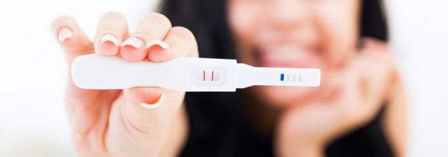 4 ������� ��������: ���� �����, ��, �� ����������