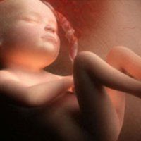 Вагітність 38 тижнів білі слизові виділення