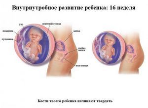 ��������� 16 ������ �����