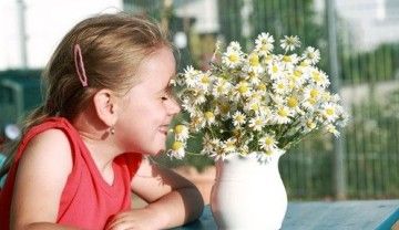 Ефективне лікування алергії у дитини на шкірі в домашніх умовах