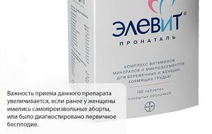 Ельовіт перед плануванням вагітності