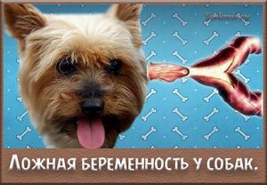 ����� ��������� � ������ �������� ���������