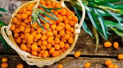 Чи можна вагітним обліпиху на різних термінах?