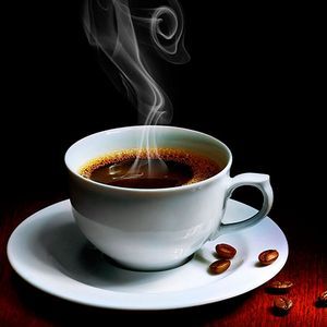 ����� �������� ������ ���������