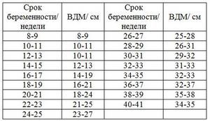 Норма висоти матки вагітності