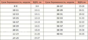 Норма висоти матки вагітності