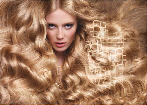��������� ��������� L`Oreal