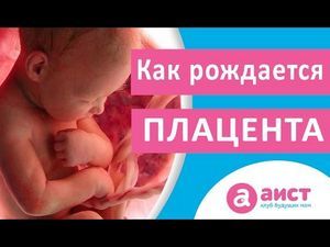 Послід після пологів фото у жінок