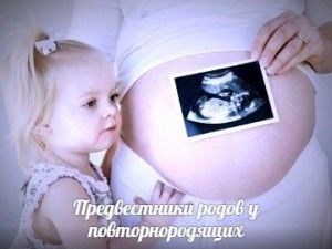 Попередники пологів у повторнородящих