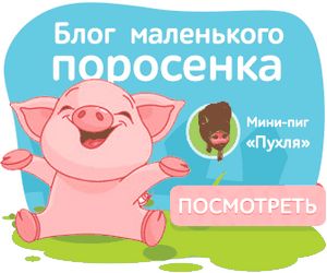 Рейтинг овочевих пюре для першого прикорму