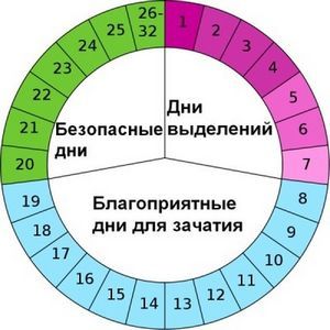 Найсприятливіші дні для зачаття дитини калькулятор