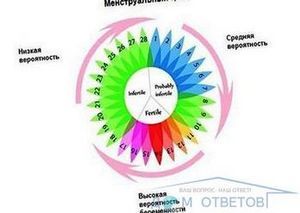 Секс за 6 днів до овуляції
