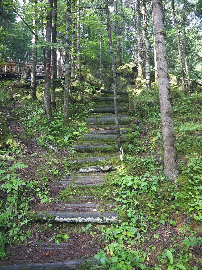 чанбайшать, кам`яний ліс, китай чанбайшать, кам`яний ліс, китай