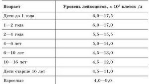 Значення нейтрофілів в крові при вагітності 84 4